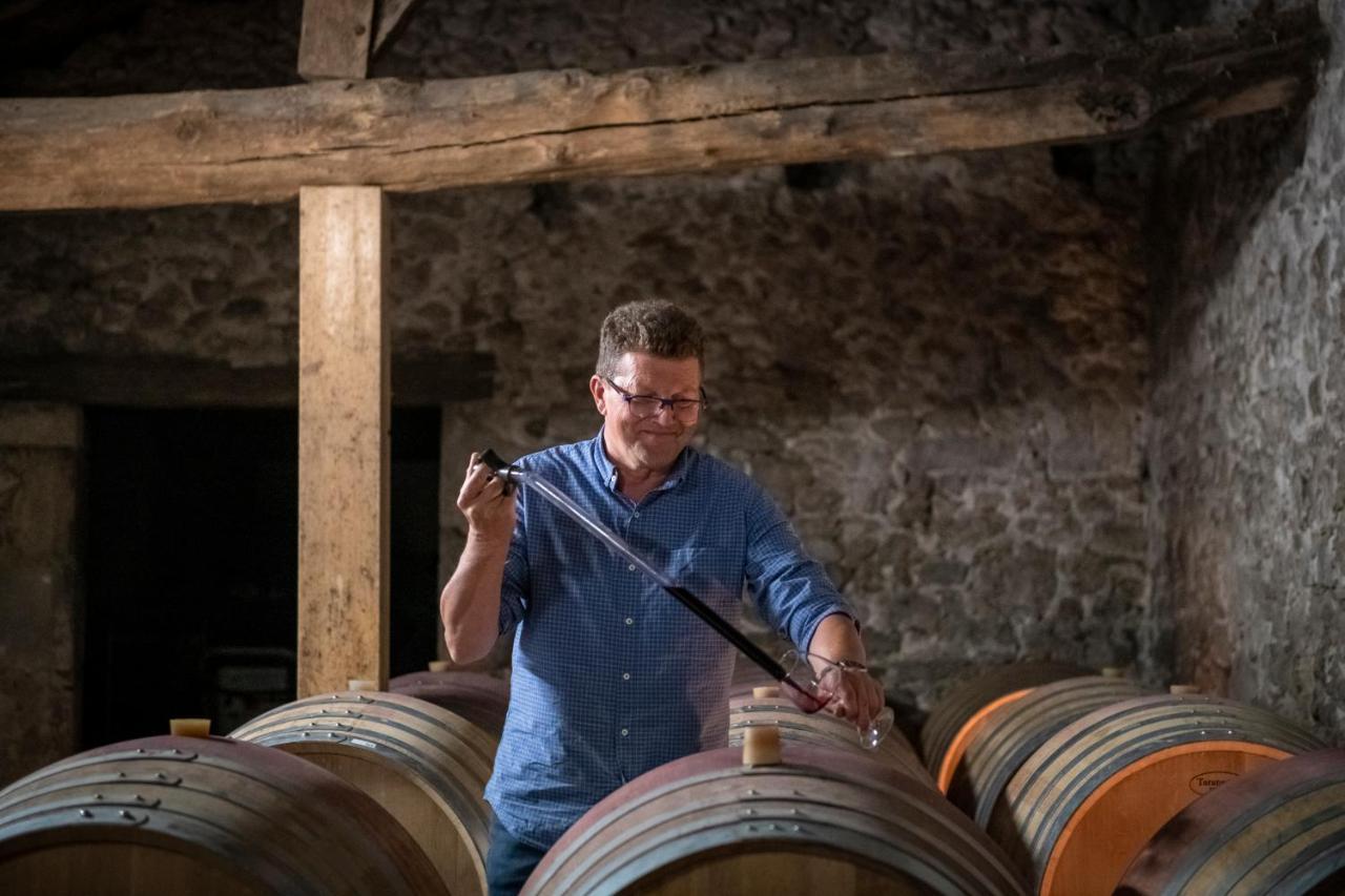 Maison Le Sèpe - Vignoble et Maison d'hôtes Sainte-Radegonde  Extérieur photo